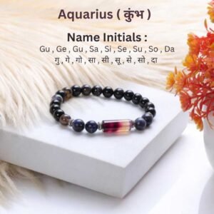 Siddh Rudraksh Aquarius ( कुंभ ) 1 Siddhrudraksh
