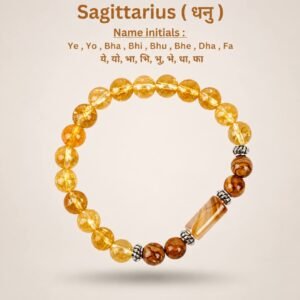 Siddh Rudraksh Sagittarius ( धनु ) 1 Siddh Rudraksh