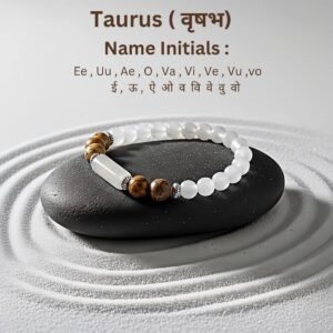 Siddh Rudraksh